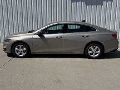 2024 Chevrolet Malibu FL